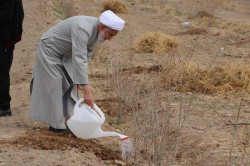 غرس تعدادی اصله نهال مثمر در پردیس دانشگاه